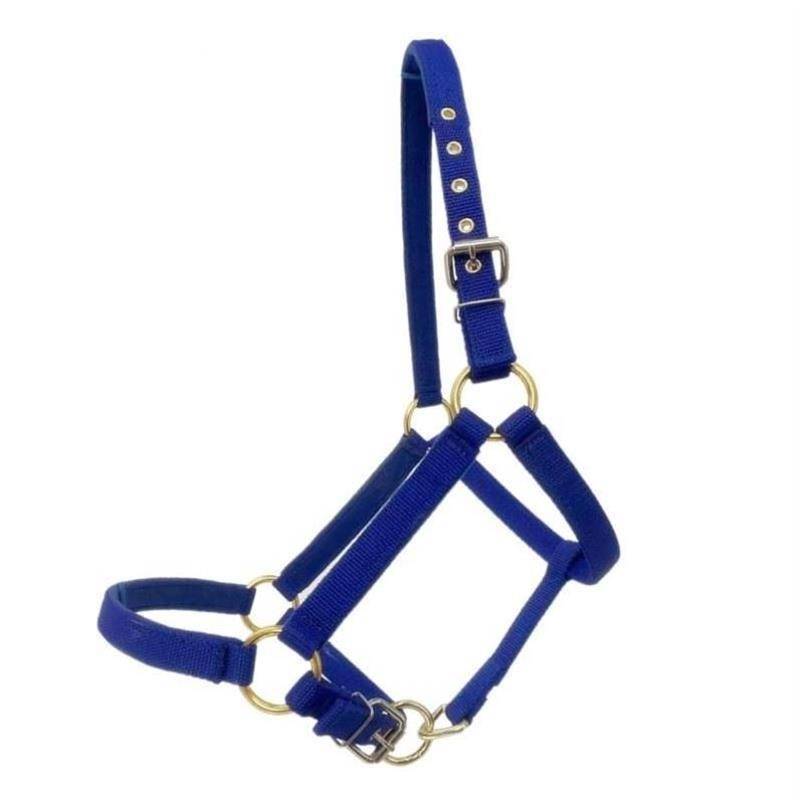 E11-STAMP CAGE L BIG BLUE